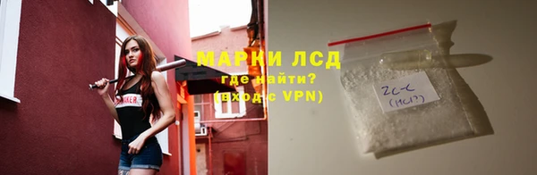 гидропоника Елабуга