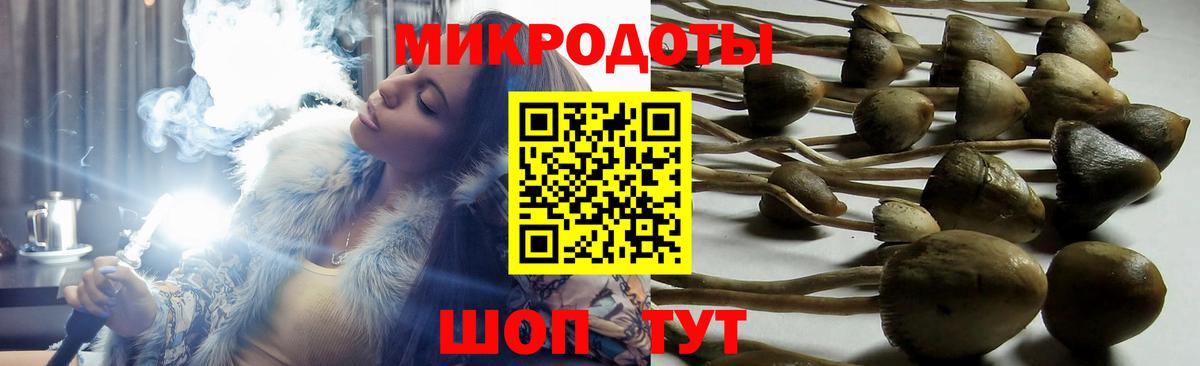 Псилоцибиновые грибы Cubensis  Вход с VPN  Скопин 