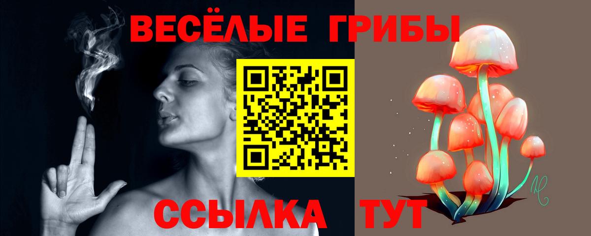 Псилоцибиновые грибы мицелий Скопин
